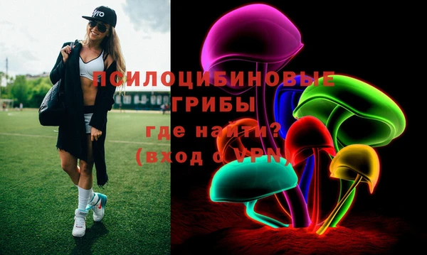 крисы Дмитровск