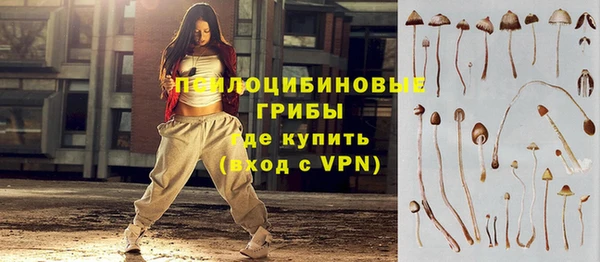 соль ск Абдулино