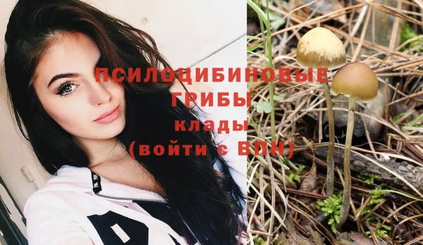 соль ск Абдулино