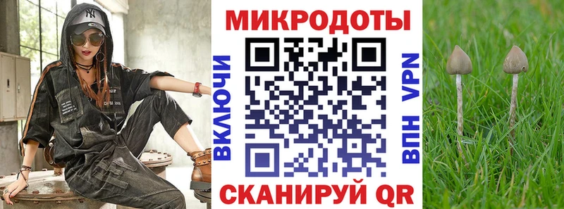 Псилоцибиновые грибы Psilocybe  Мантурово 