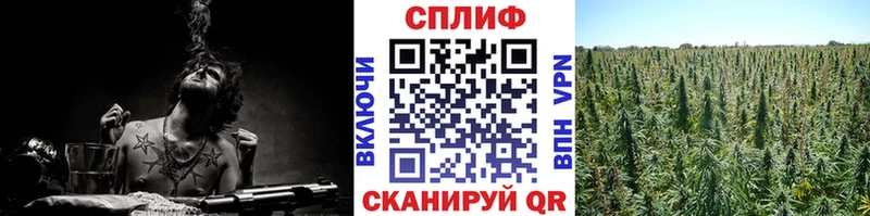 как найти закладки  Мантурово  Марихуана Ganja 